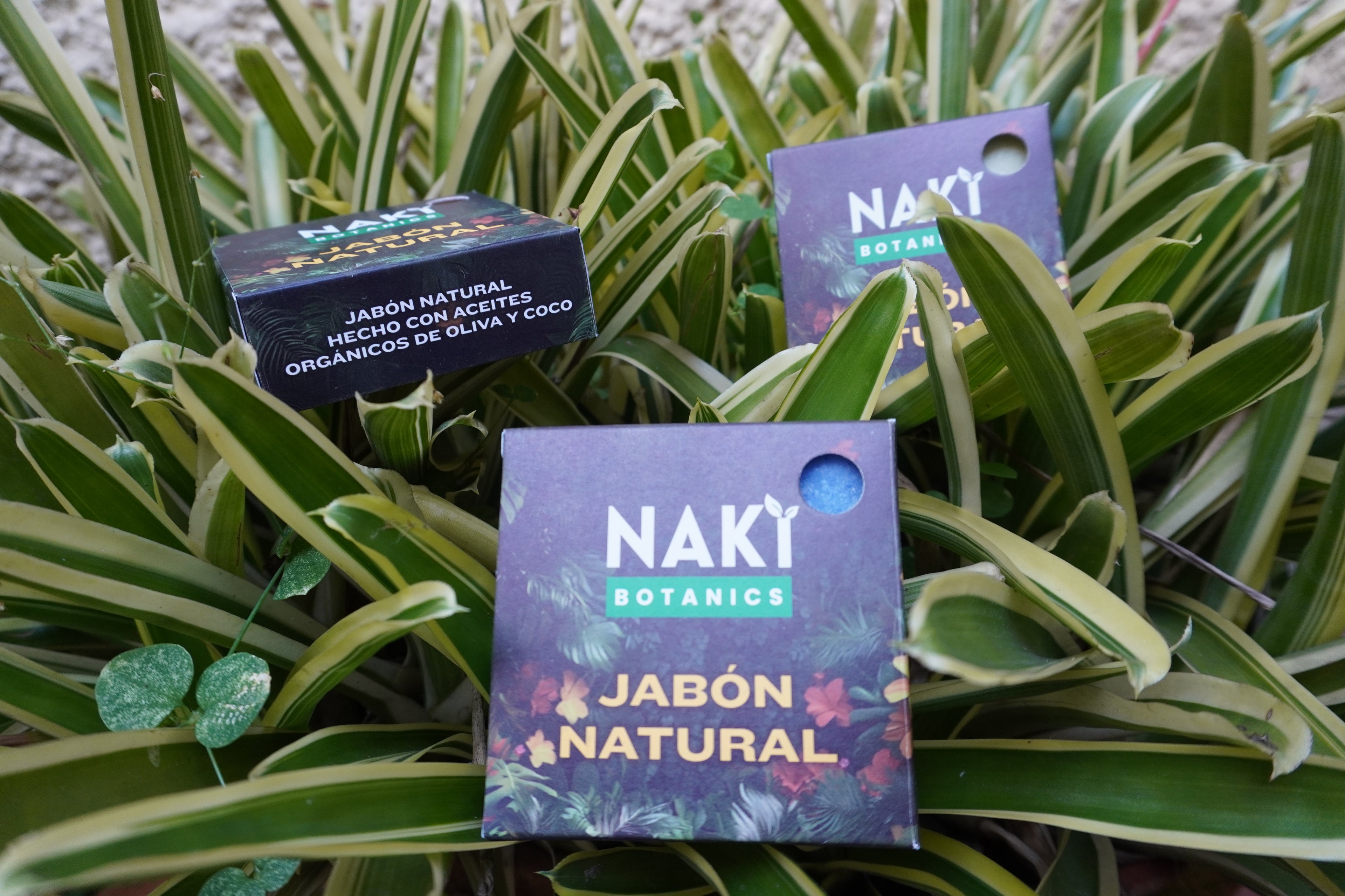 Blueberry - Jabón Hidratante